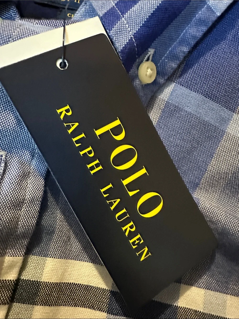 Polo by Ralph Lauren Blue and White Plaid Button-Down Shirt